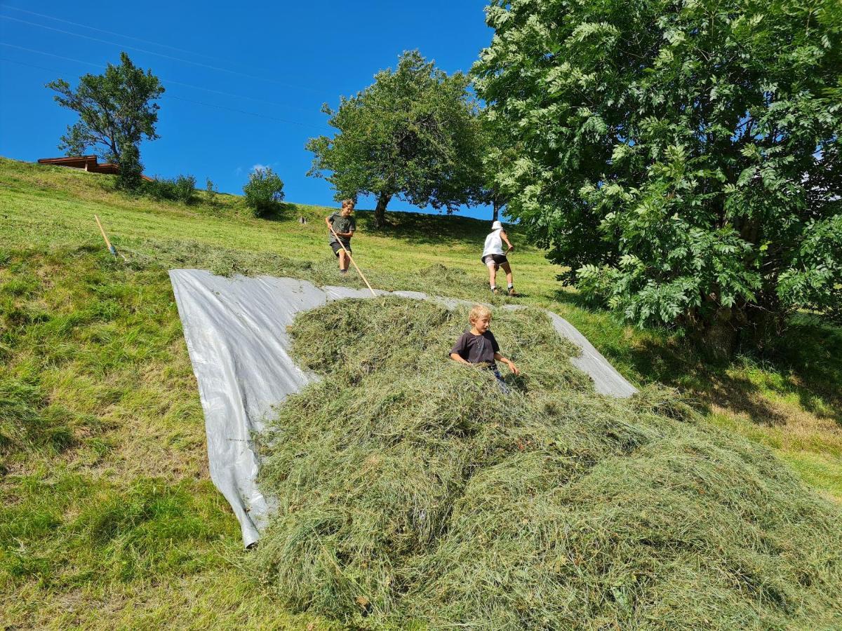 Haus Lentsch Daire Kaunerberg Dış mekan fotoğraf